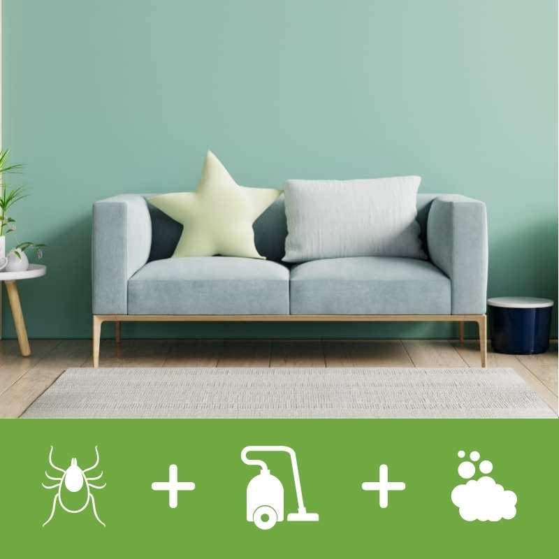 2-Seater Sofa Cleaning (Dust Mites + Steam Sanitization / Disinfection ...