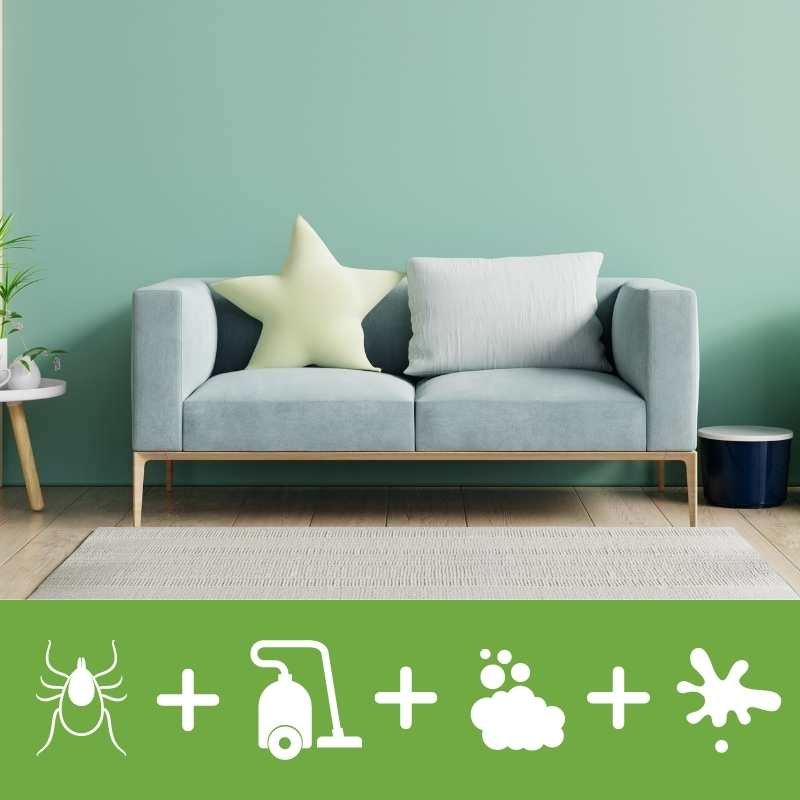 2-Seater Sofa Cleaning (Dust Mites Removal / Deep Clean + Stain Removal ...