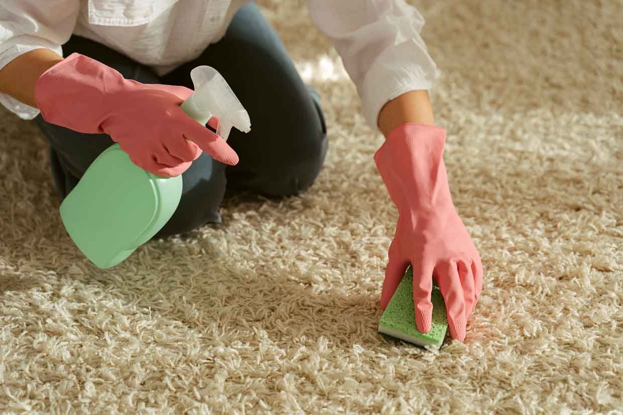 What to Do and Not Do in Carpet Cleaning Clean and Care